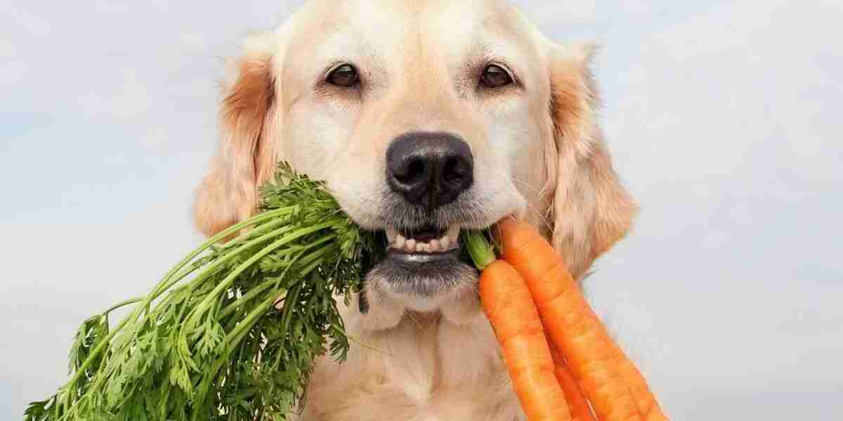 Vegan Dog Food Market: How Sustainability and Health Are Shaping Pet Care Trends