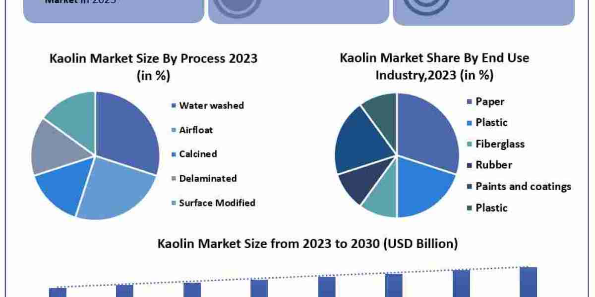 Kaolin Market Dynamics, Competitive Landscape, Top Leaders, Future Scope and Outlook 2030