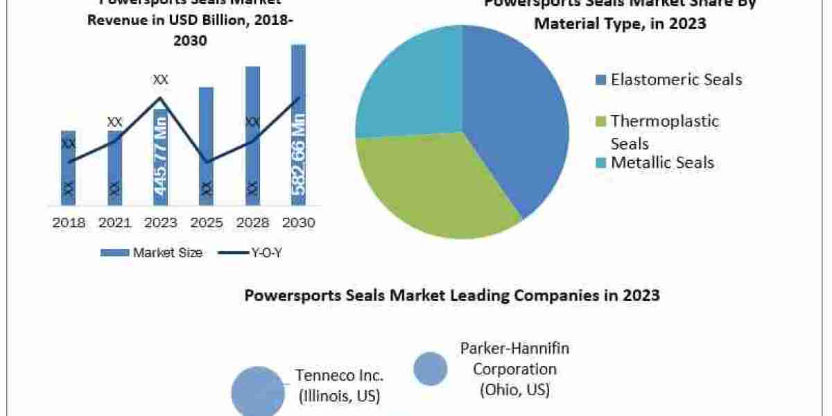 Powersports Seals Market Industry Segmentation, Analysis, Key Insights, Segments And Forecast 2024-2030