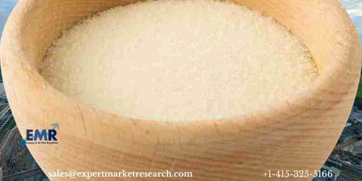 Global Collagen Hydrolysates Market: Growth, Competitive Landscape (2024-2032)