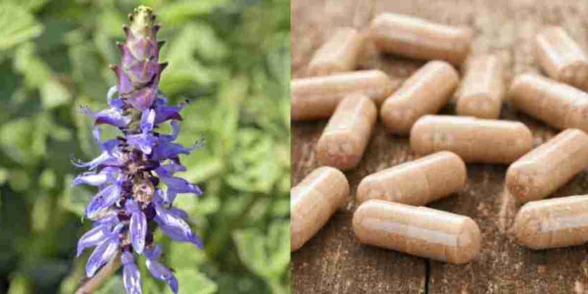 Forskolin Market Threats and Strategies for Mitigation: A Strategic Overview of Potential Industry Disruptions and Proac