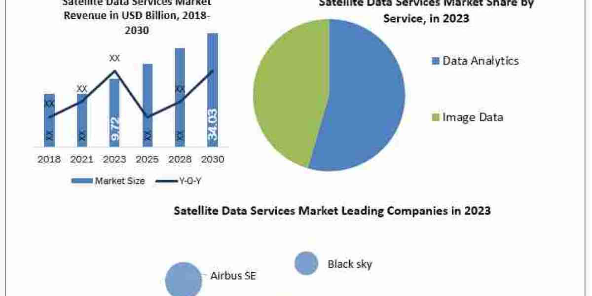 Satellite Data Services Market Top Countries Data, Industry Insights by Top Key Players, Types and Applications 2024-203