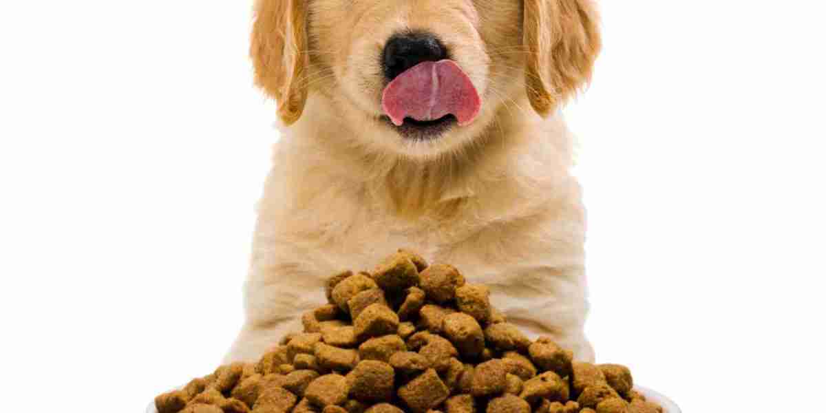 Pet Food Palatants Market: Understanding the Competitive Landscape and Key Drivers