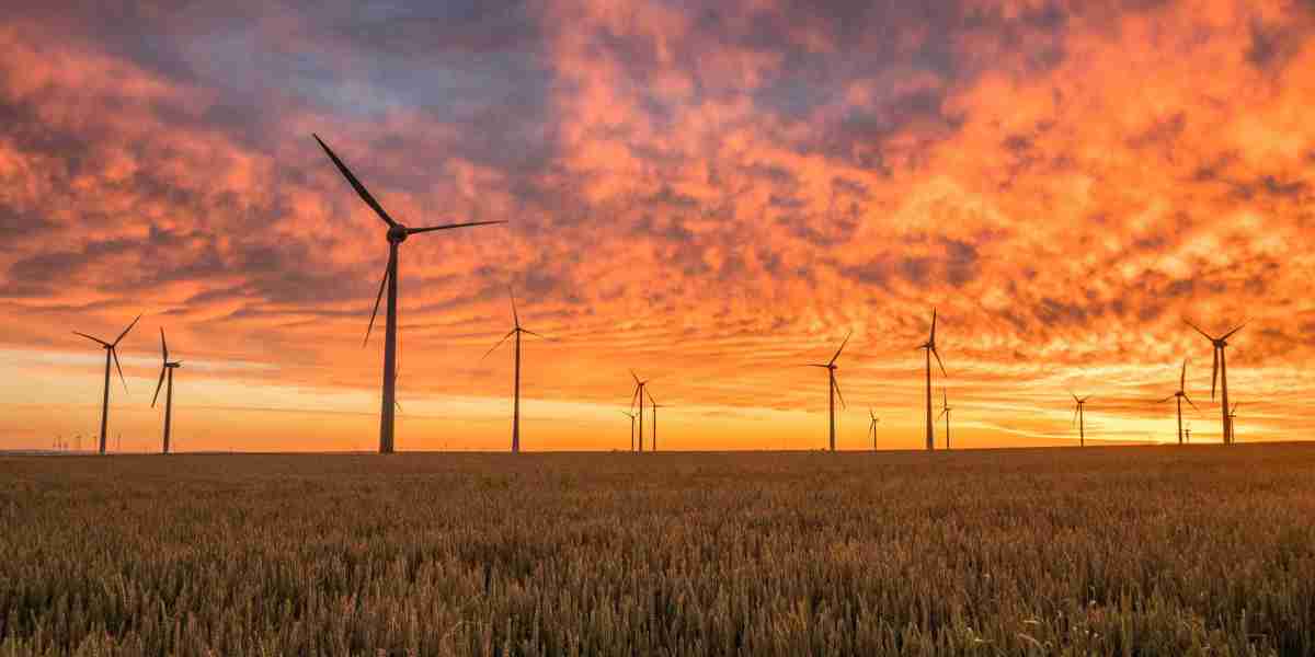 Wind Turbine Gear Oil Market: Future Trends Shaping the Renewable Energy Industry