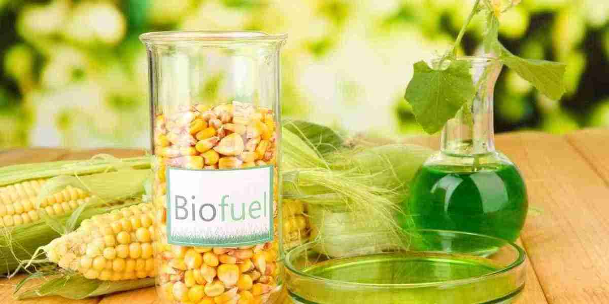 Biofuel Testing Services Market Growth Driven by Renewable Energy Demand, Technological Advancements, and Stringent Regu