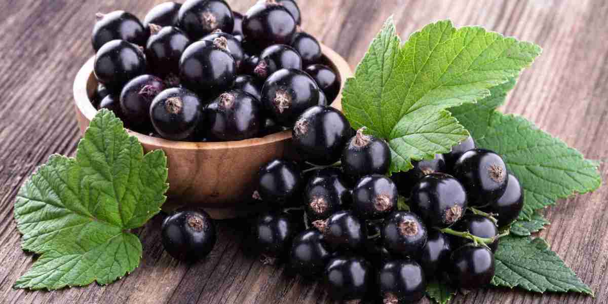 Blackcurrant Extract Market: Key Strategic Moves for Competitive Advantage