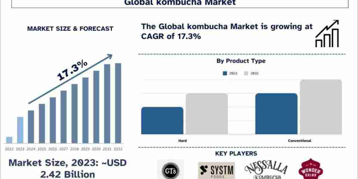 Unlocking the Potential of Kombucha: A European Market Deep Dive