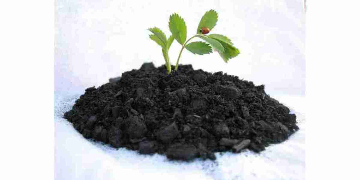 Biochar Market Significant Role in Waste Management and Bioenergy Production