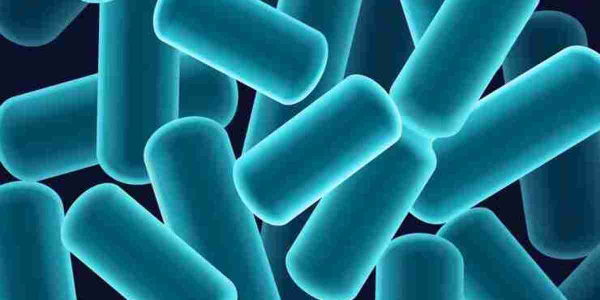 Bacillus Coagulans Market Growth Analysis and Forecast: Global Trends, Key Drivers, and Regional Insights