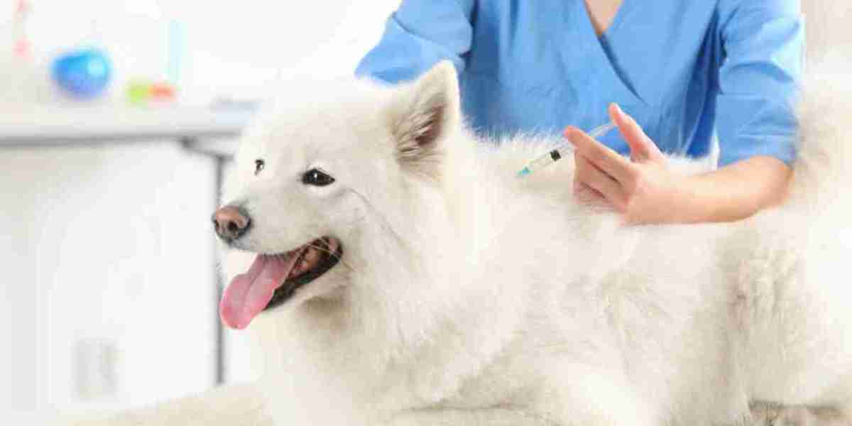 Veterinary Vaccines Market Impacting Factors: Understanding the Key Forces Driving Change in Industry Trends