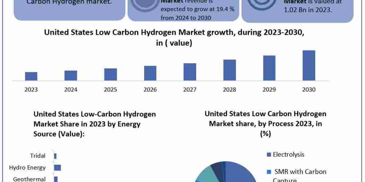 United States Low-Carbon Hydrogen Market  Growth, Business Strategy, Trends and Regional Outlook 2024-2030