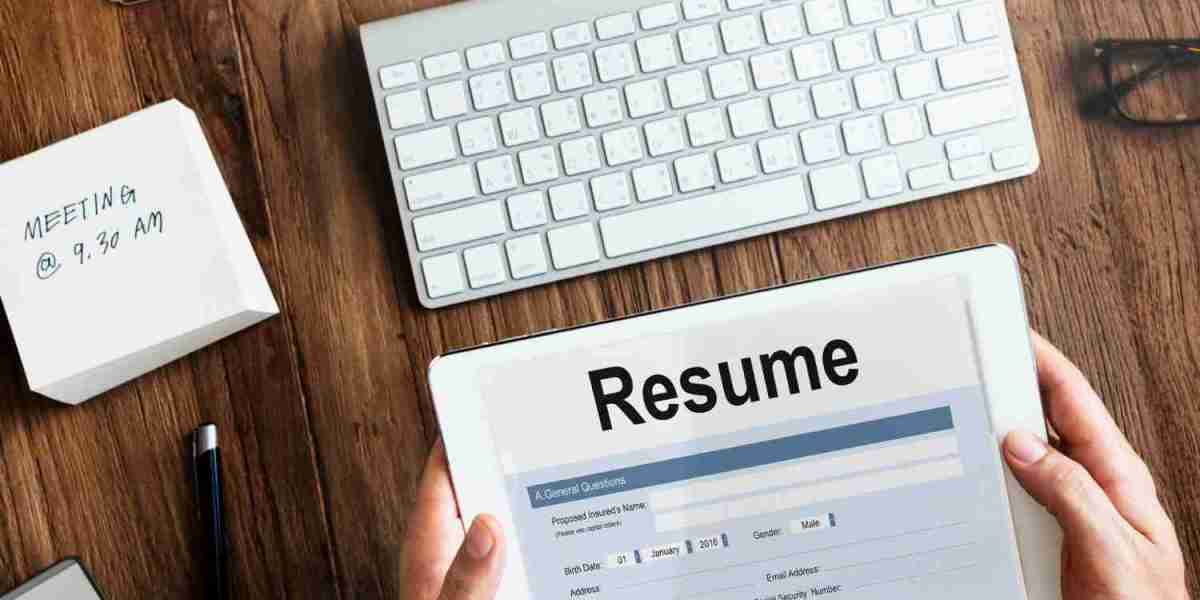 Best Resume Templates and Tools to Make Your Application Shine