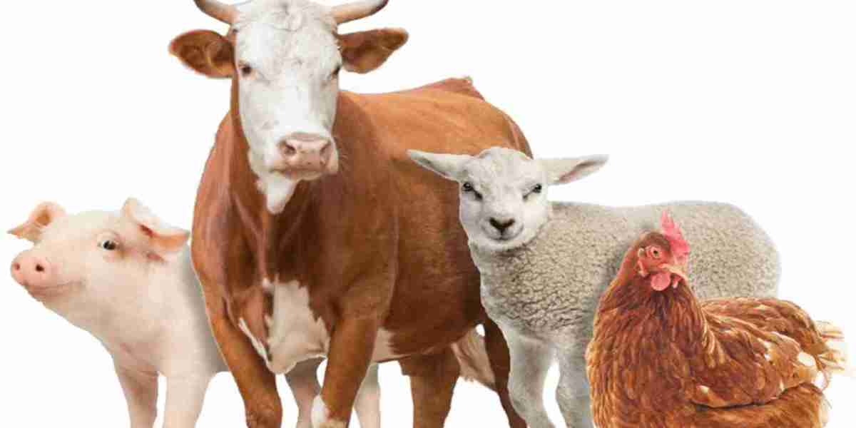 Animal Nutrition Market: Addressing Challenges in Sourcing, Pricing, and Compliance