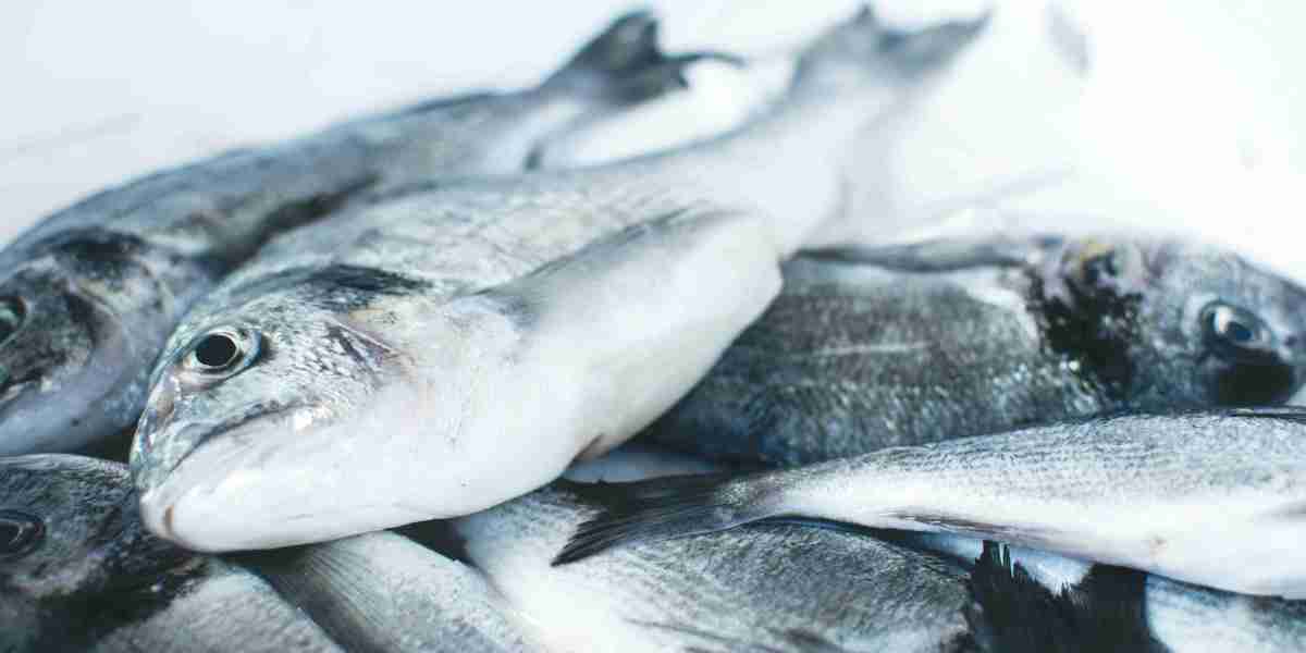 Wild Pollock Market: Rising Demand and Expanding Global Trade