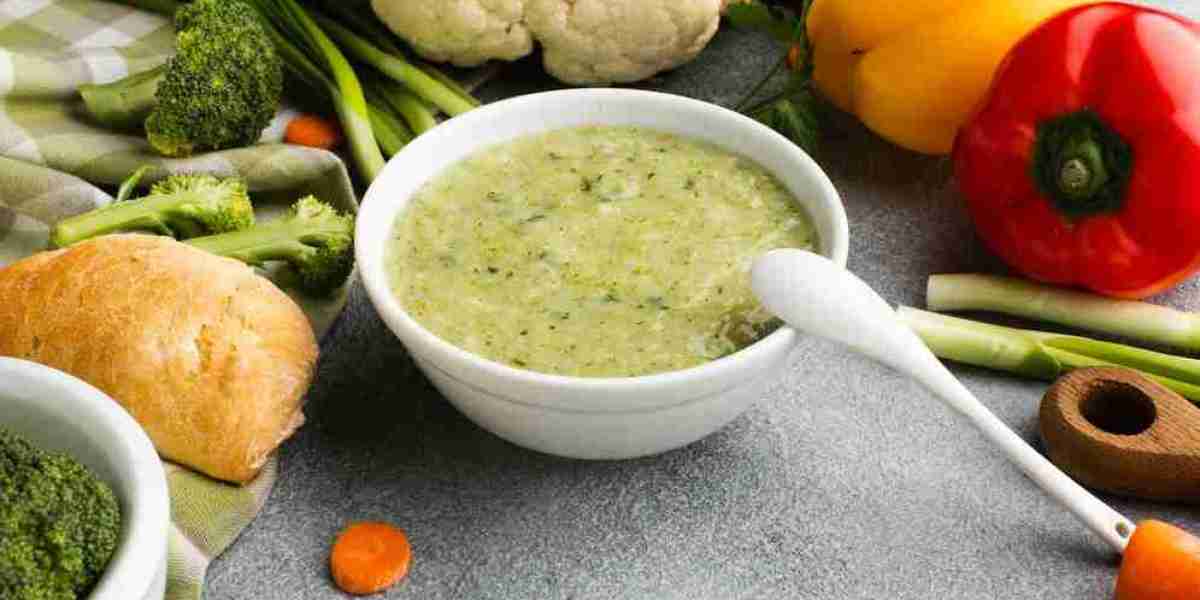 Vegan Baby Food Market Impact: Key Factors Driving Demand and Strategic Moves in 2024