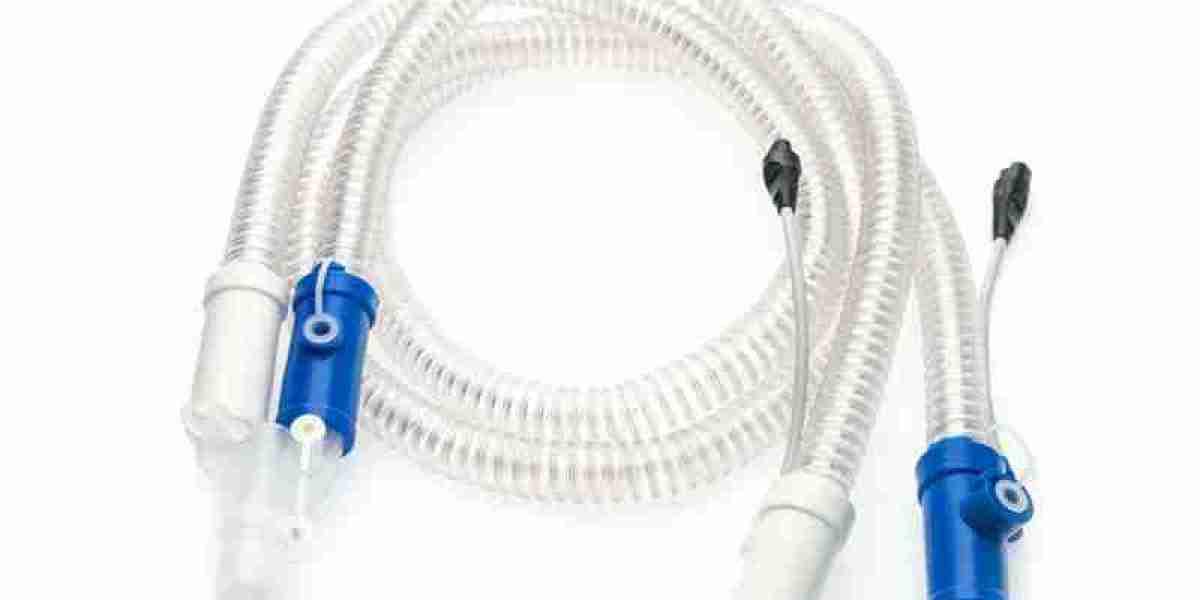 Breathing Circuit Market Forecast: Future Trends and Growth Potential