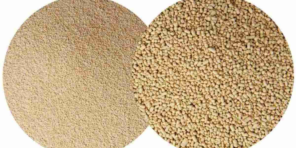 Dry Yeast Market Growth Drivers and Regional Trends Fueling Its Expansion in Global Industries