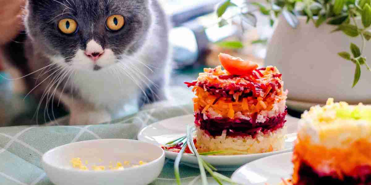 Pet Food Market: Innovations in Plant-Based and Functional Pet Foods