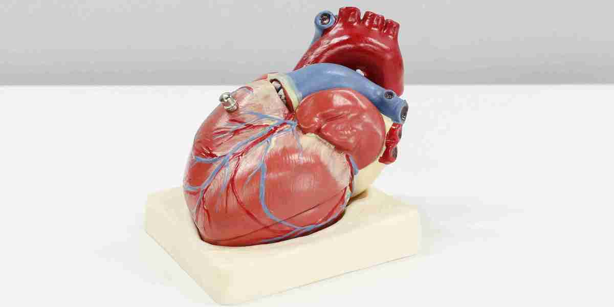 Atrial Fibrillation Device Market Trends: The Path to Minimally Invasive Solutions