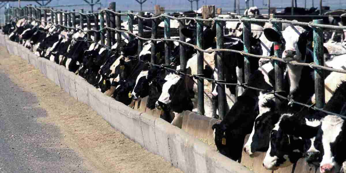 Cattle Squeeze Market Outlook: Identifying Growth Potential in Emerging Livestock Markets