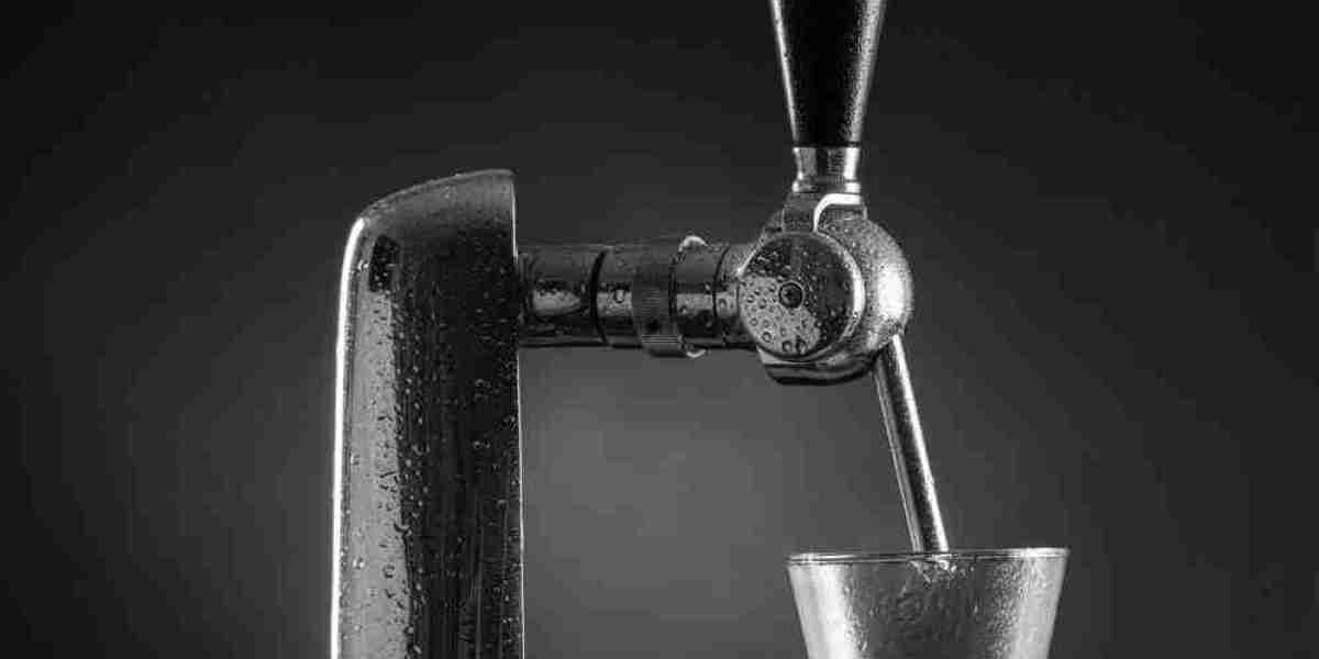 Beer Dispensers Market Outlook: Analyzing Factors Driving Growth and Addressing Pain Points