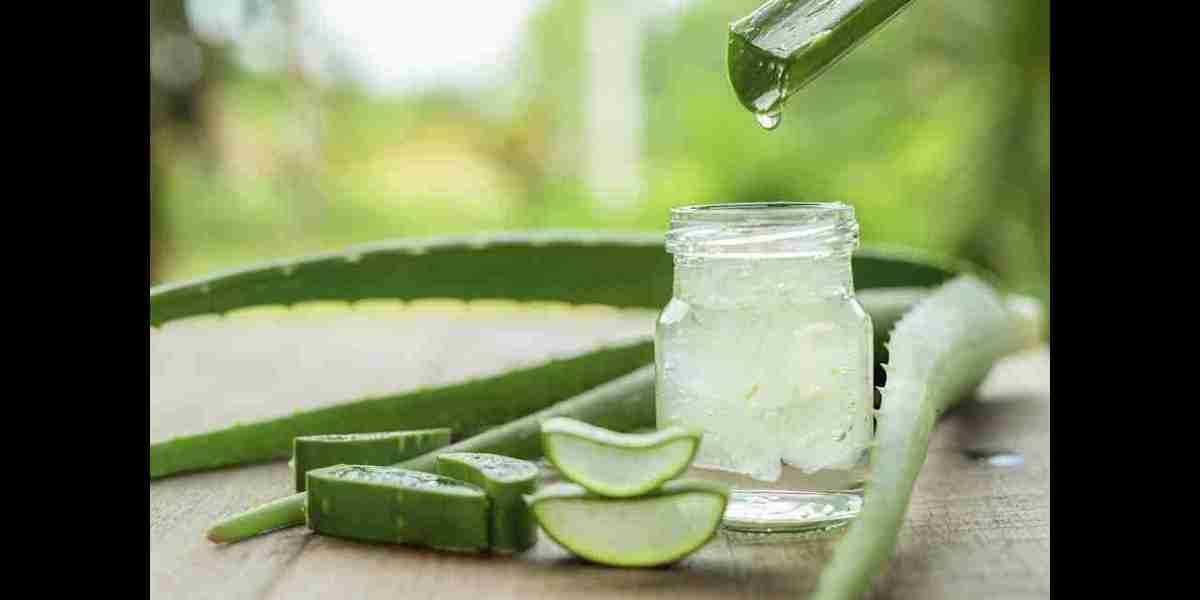 Aloe Vera Extracts Market: Recent Innovations and Advancements