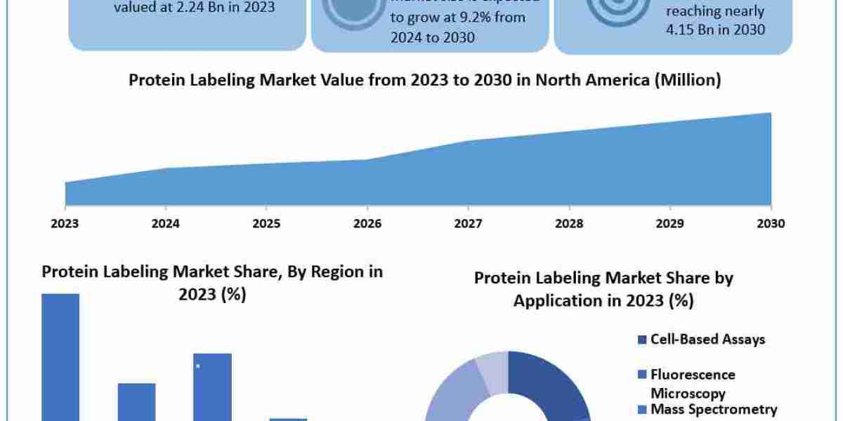 Protein Labeling Market Global Share, Segmentation, Analysis, Future Plans and Forecast 2030