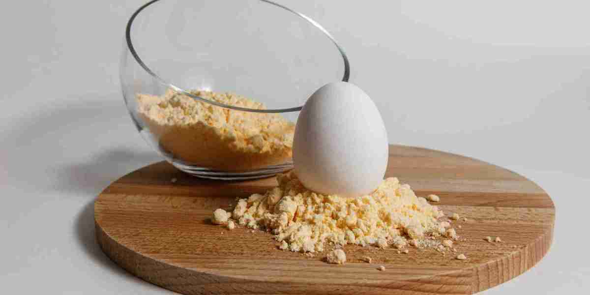 Dried Eggs Market Future Outlook: Key Drivers, Trends, and Challenges Shaping the Industry