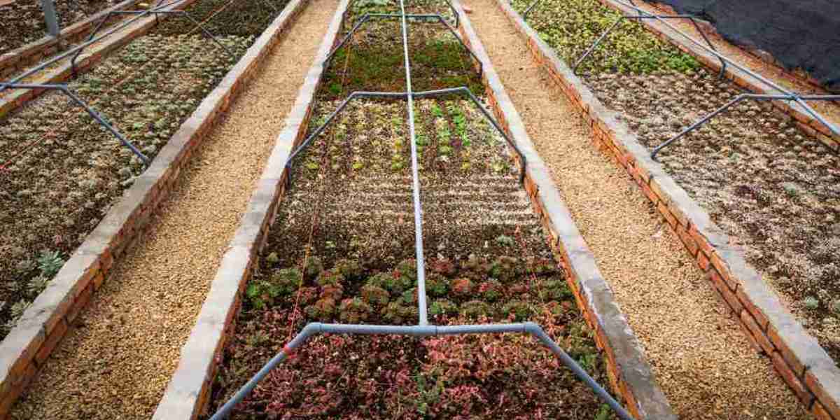 Agricultural Textiles Market Outlook: Pain Points, Hindrances, and Growth Challenges in the Industry