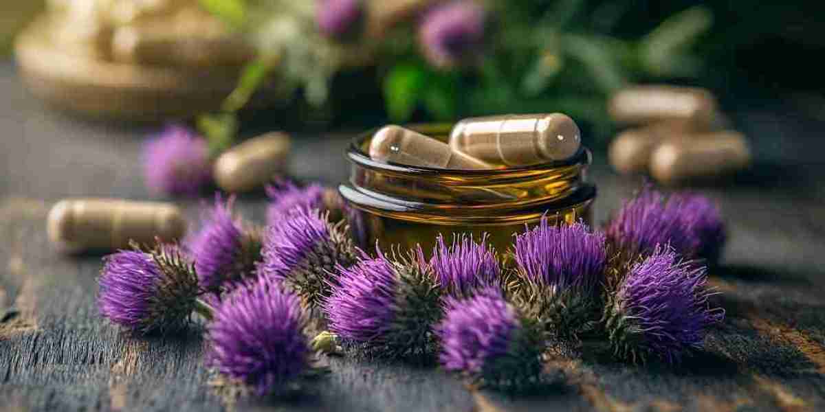 Milk Thistle Supplements Market Strategic Moves and Winning Strategies: How Industry Leaders Are Positioning Themselves 