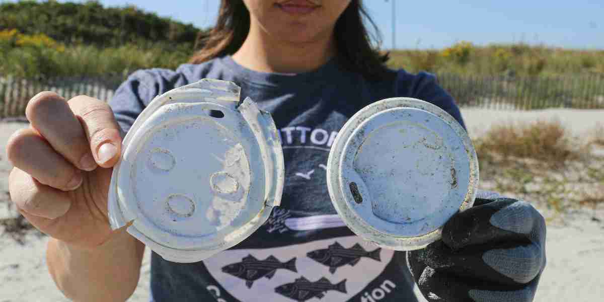 Biodegradable Lids Market: How Supply Chain and Tech Barriers Are Shaping the Industry