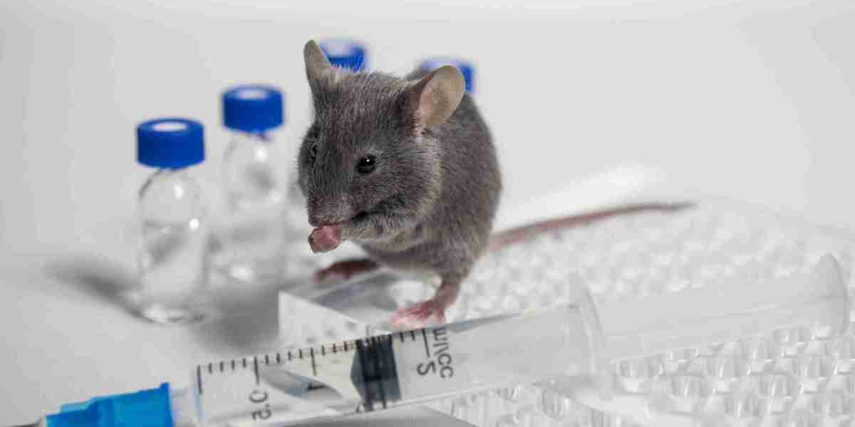 Animal Parasiticides Market Research Report: Technological Breakthroughs, Opportunities, and Market Share by Key Players