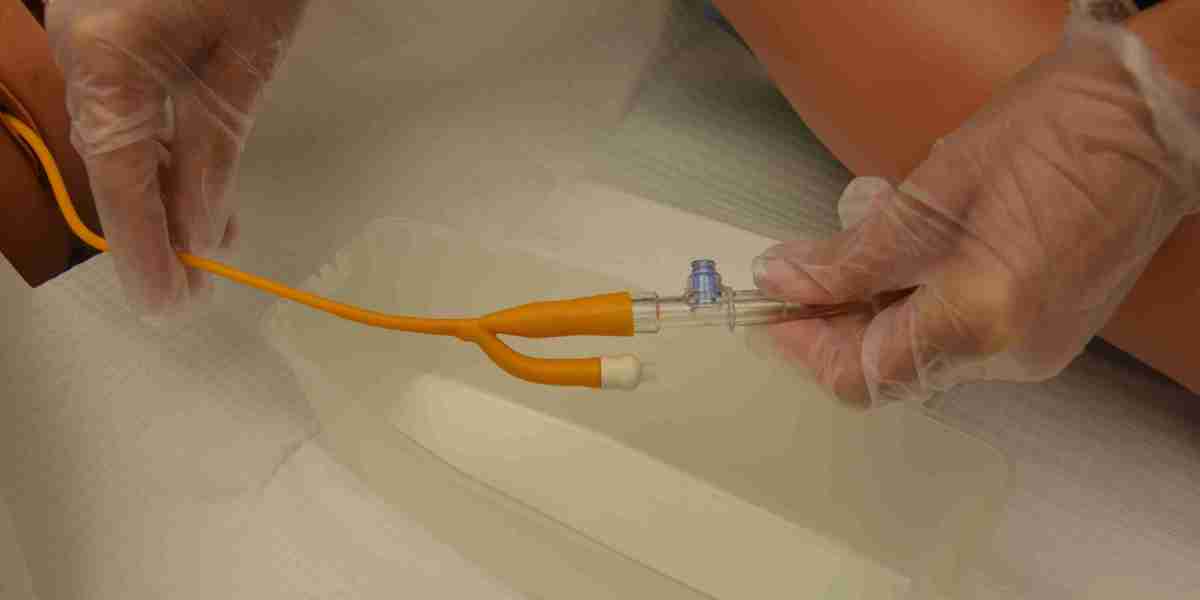 Urinary Catheters Market Research and Long-Term Growth Outlook: A Detailed Exploration of Industry Opportunities and For