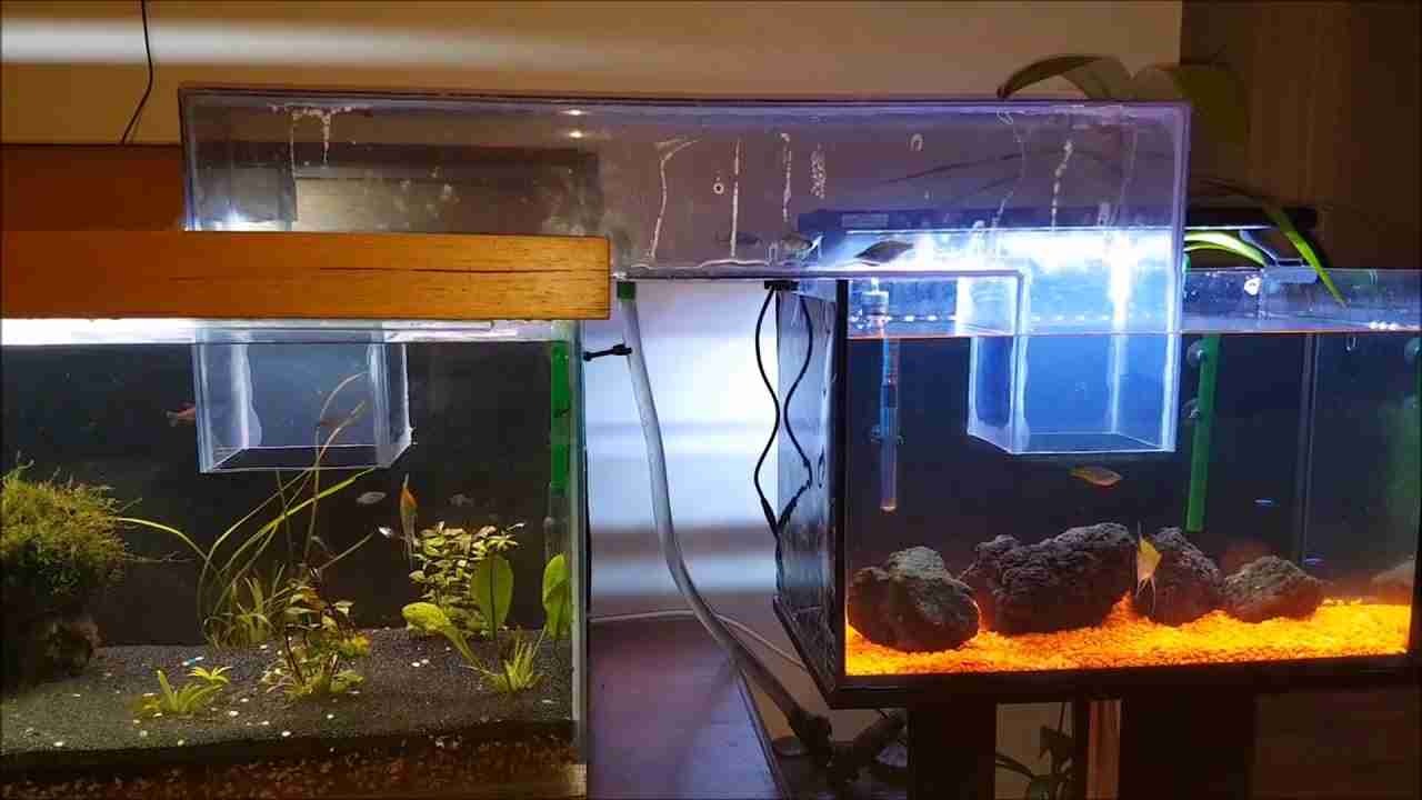 aquarium water treatment 