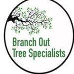 Branch Out Tree Specialists