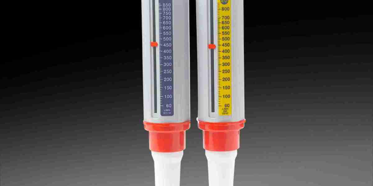 Peak Flow Meter Market: Navigating the Evolving Regulatory and Reimbursement Landscape