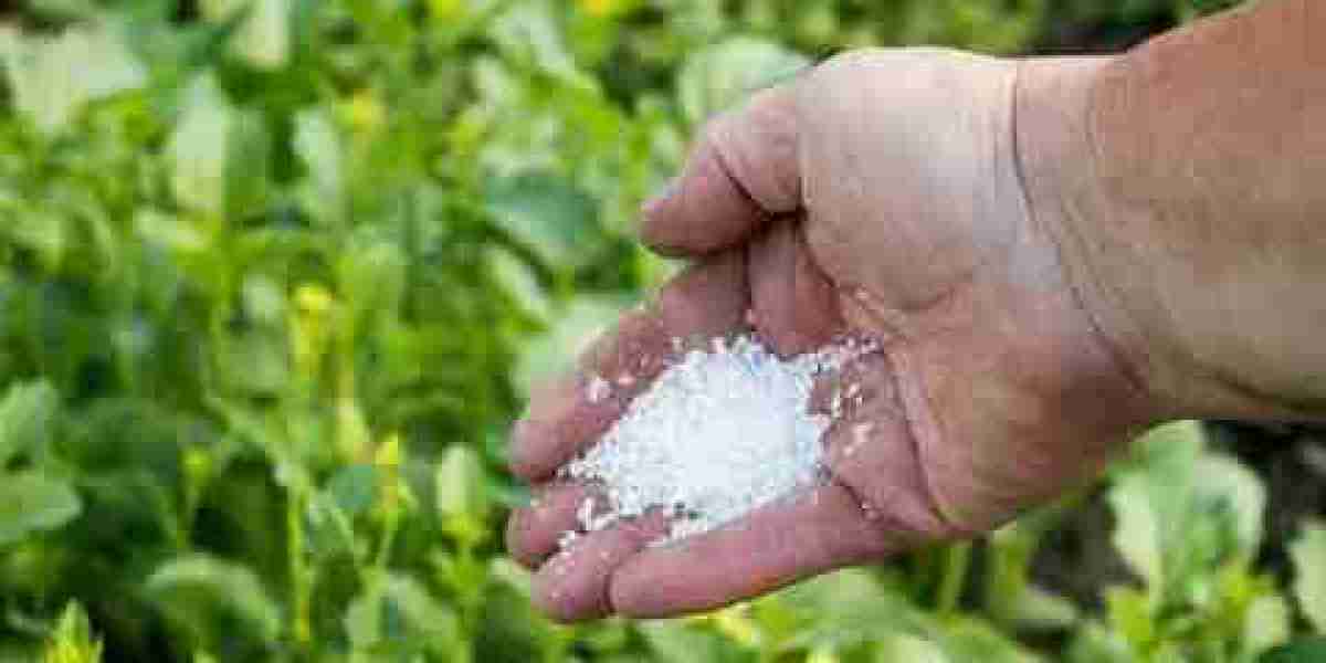 Foliar Fertilizers Market Forecast: Predictions for Emerging Markets and Growth Areas