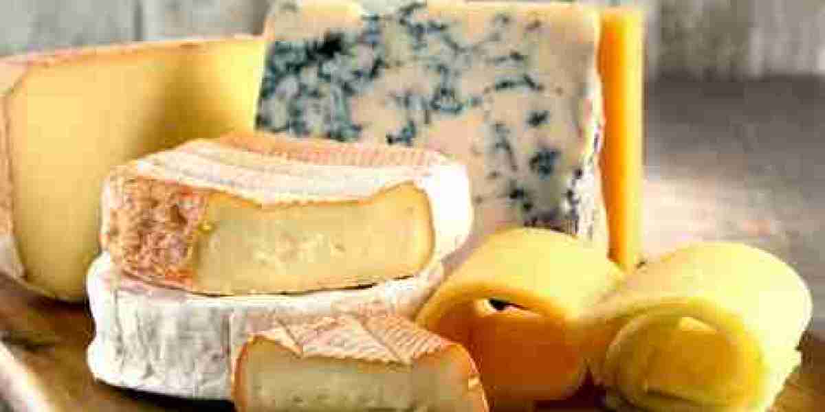 Flavoured Cheese Market Faces Rising Competition from Plant-Based Alternatives and Health Trends