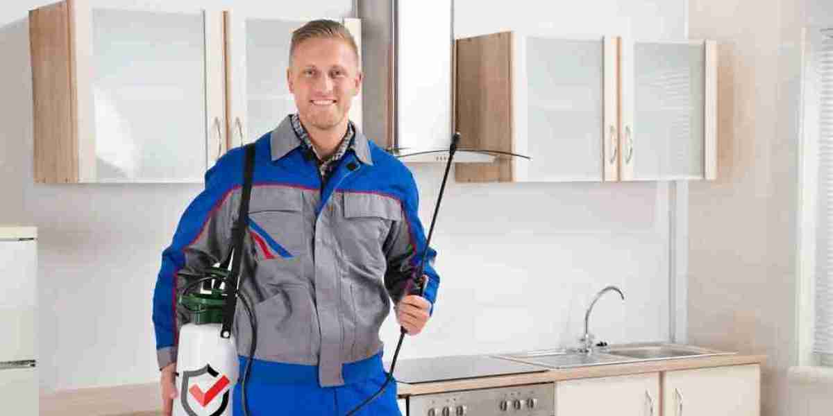 Effective Pest Control Solutions for a Pest-Free Environment