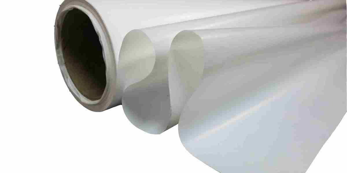 Vapor Barrier Films Market Competitive Analysis, Strategies, and Impacting Factors Shaping the Industry’s Growth