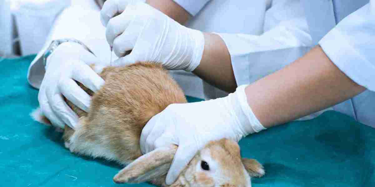 Animal Parasiticides Market Growth Influenced by Advancements in Veterinary Care