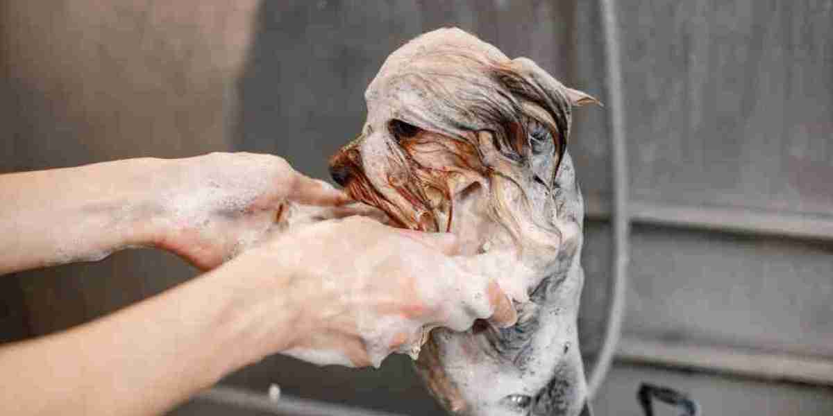 Pet Shampoo Market Restraints: High Costs, Consumer Trends, and Regulatory Barriers Impacting Industry Growth