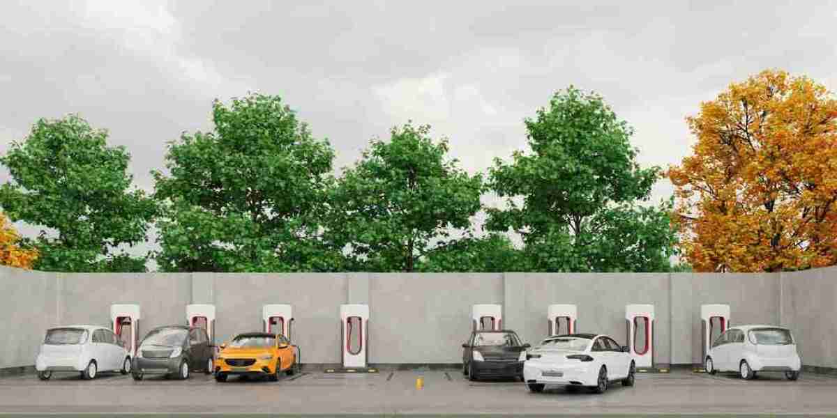 Electric Vehicle Charging Station Market: Overcoming Initial Capital Investment and Technological Barriers for Growth