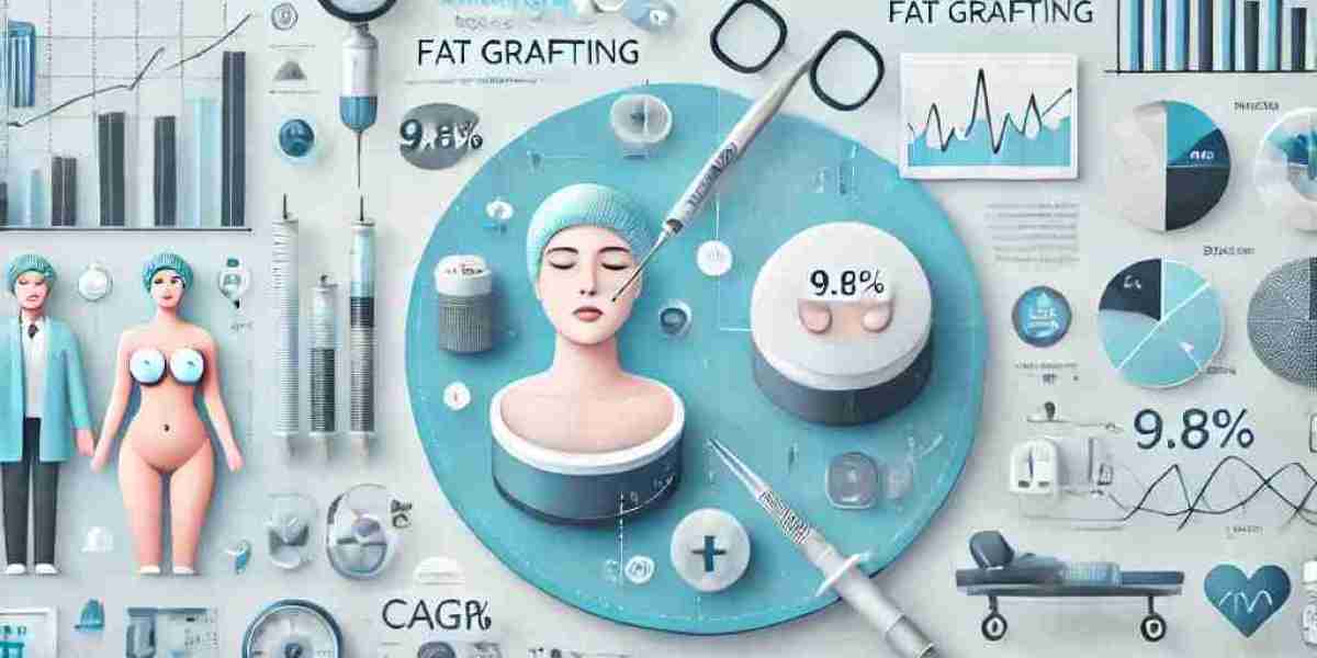 Autologous Fat Grafting Market Players: Analyzing Size, Share, Segmentation, and Future Opportunities 2025-2032