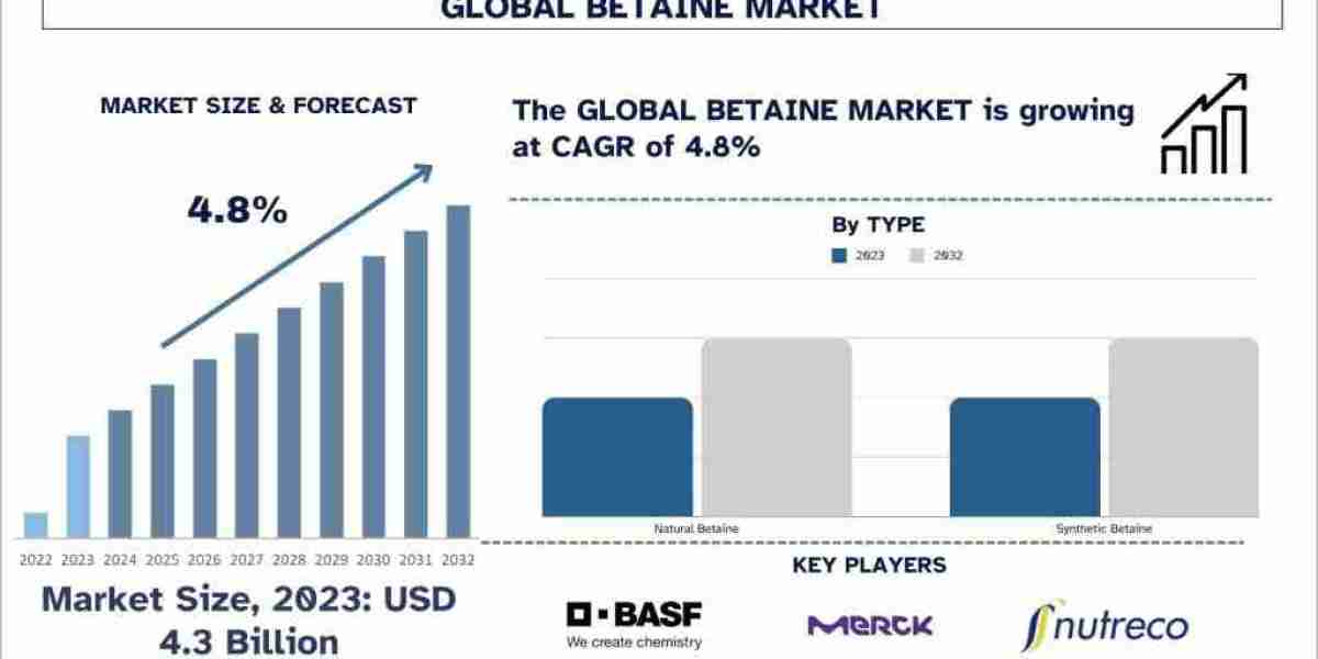 Betaine Market Seen Soaring 4.8% Growth to Reach USD 6.6 Billion by 2032