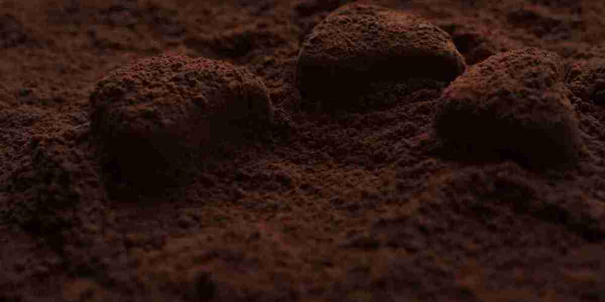 Cocoa Market Competitive Analysis, Emerging Trends, and Factors Shaping the Outlook and Future Growth Potential