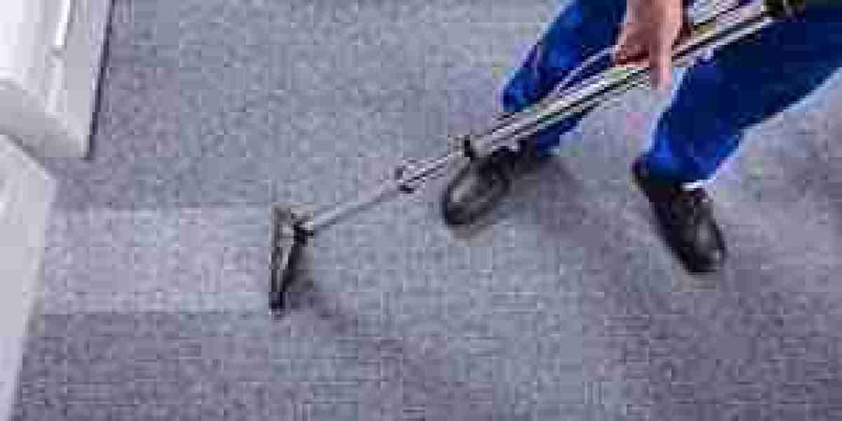 Enhancing Home Comfort with Consistent Carpet Cleaning