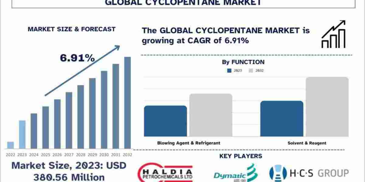 Cyclopentane Market Poised for Remarkable 6.91% Expansion