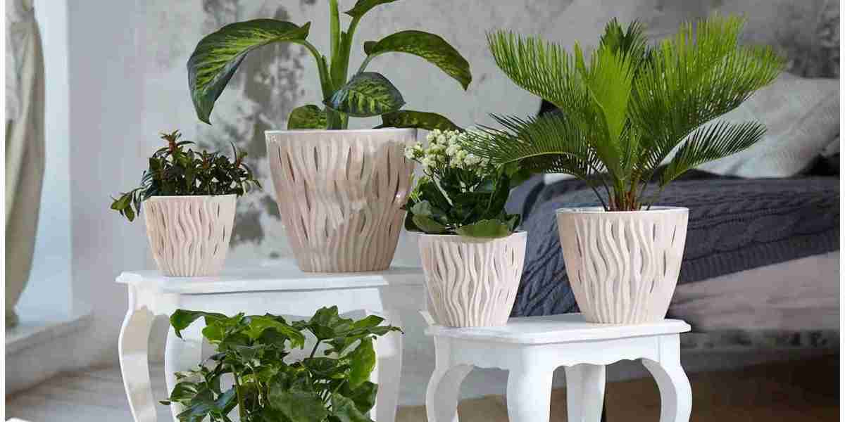 Artificial Plants Market: The Growing Demand for Realistic, Low-Maintenance Plants