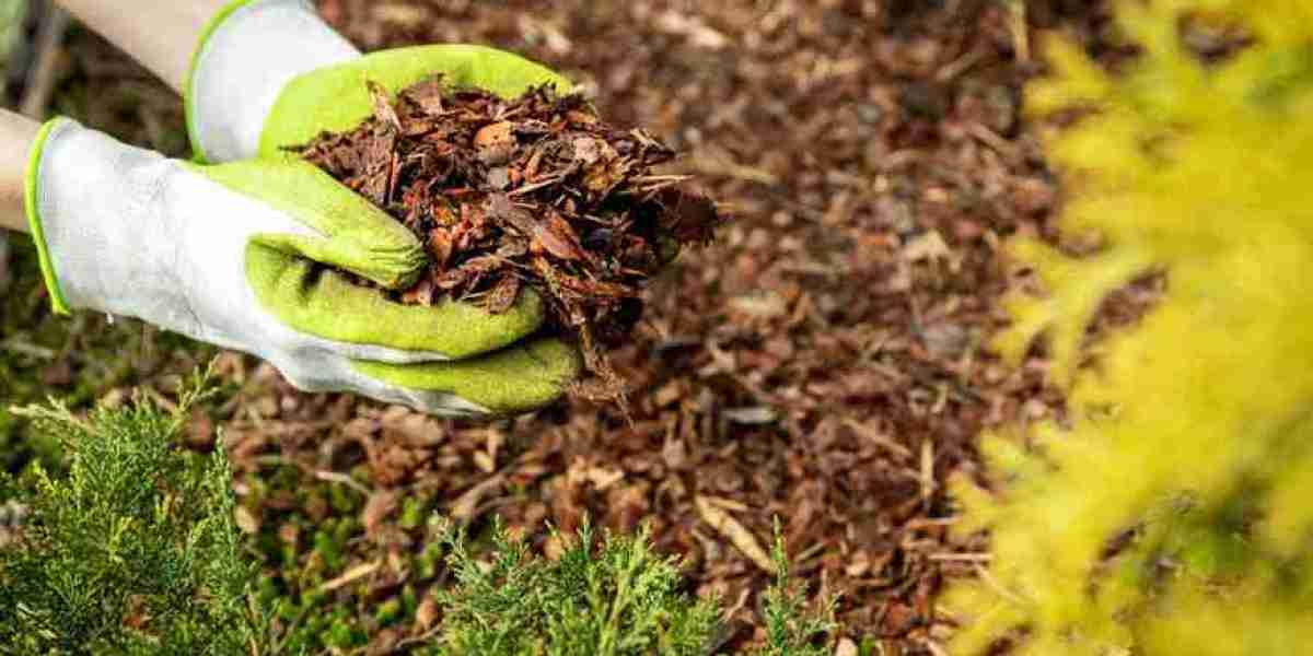 Transform Your Garden with Garden Ornamental Mulch & Bark